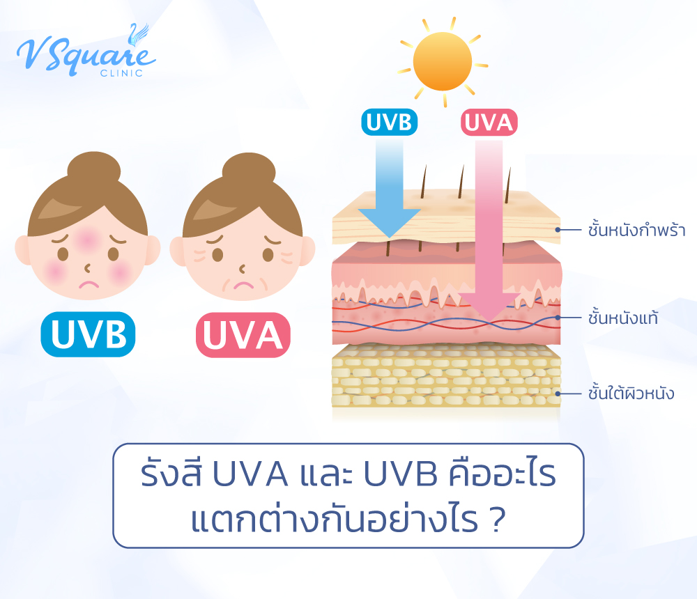 UVA และ UVB