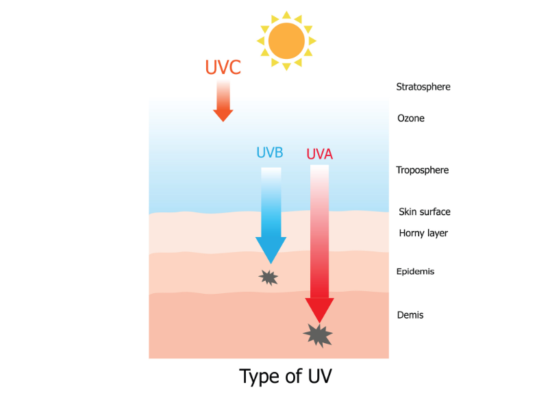 UVA, UVB, UVC ต่างกันอย่างไร มีผลกระทบต่อผิวอย่างไรบ้าง