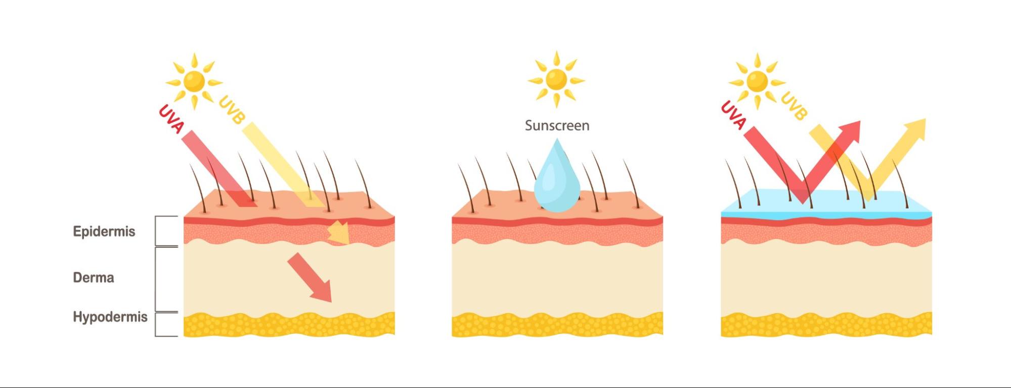 การทำงาน Titanium Dioxide